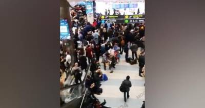 Пассажиры рассказали о задержке рейсов из Домодедово - m24.ru