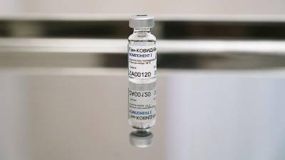 Мохамед Диане - В Гвинее члены правительства привились вакциной «Спутник V» - iz.ru - Израиль - Гвинея