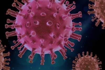 Во Франции появился первый зараженный британским штаммом коронавируса - mk.ru - Франция - Англия - Юар
