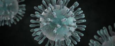 Американские ученые установили картину поражения легких при коронавирусе - runews24.ru - Бостон
