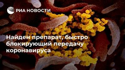 Найден препарат, быстро блокирующий передачу коронавируса - ria.ru - Москва - Сша - штат Джорджия