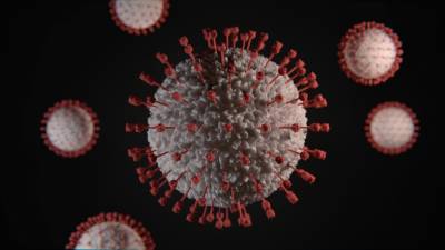 Фред Хатчинсон - Обнаружили первую мутацию коронавируса против которой бессильны антитела - 24tv.ua