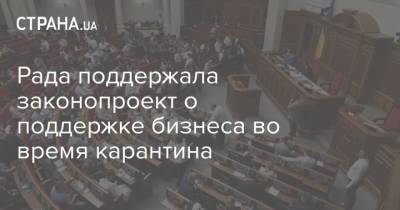 Владимир Зеленский - Рада поддержала законопроект о поддержке бизнеса во время карантина - strana.ua - Украина