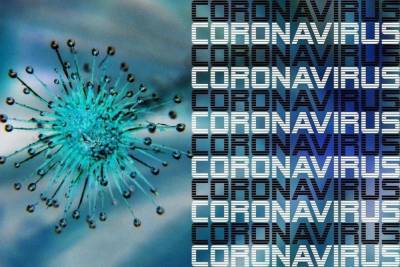 61% заболевших коронавирусом в Марий Эл составляют женщины - mk.ru - республика Марий Эл - Волжск