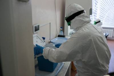 В Курганской области за сутки коронавирусом заболели 107 человек - znak.com - Курганская обл.