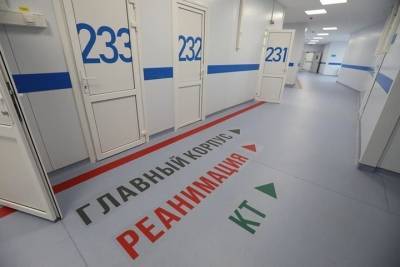 В Челябинской области умерли 12 человек, у которых подтвержден коронавирус - chel.mk.ru - Челябинская обл.