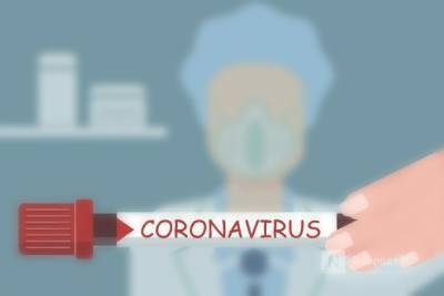 Еще 484 жителя нижегородской области заразились коронавирусом - vgoroden.ru - Россия - Нижегородская обл.