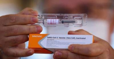 Джоко Видодо - Индонезия начинает вакцинацию от COVID-19 китайским препаратом - focus.ua - Китай - Индонезия