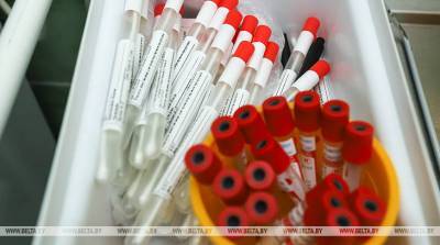 В мире за сутки зарегистрировано более 605 тыс. случаев заражения коронавирусом - ВОЗ - belta.by - Минск