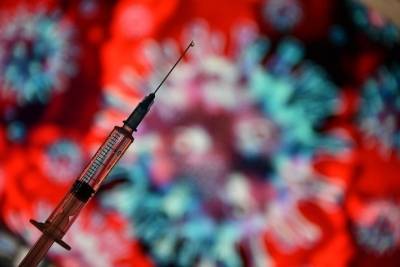 Тысячу доз вакцины от коронавируса доставили в Новосибирскую область - novos.mk.ru - Новосибирск - Новосибирская обл.