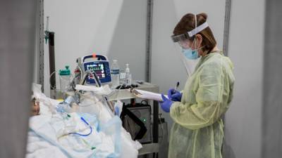 Ученые спрогнозировали пик эпидемии коронавируса в России - vesti.ru - Россия - Санкт-Петербург