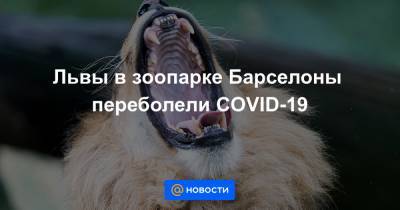 Львы в зоопарке Барселоны переболели COVID-19 - news.mail.ru
