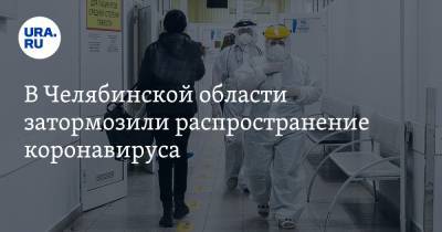 В Челябинской области затормозили распространение коронавируса - ura.news - Челябинская обл.