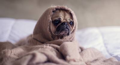 Что поможет при усталости после COVID-19? Рассказывает эксперт - ont.by