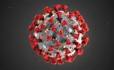 Ученые объяснили уязвимость человека перед коронавирусом - svpressa.ru - Канада