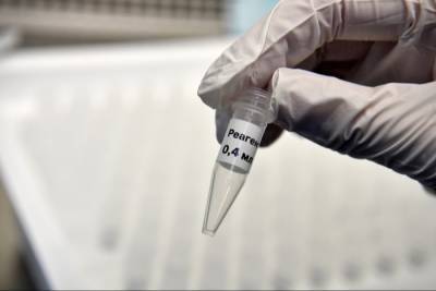 Добровольцы в Тюмени, у которых обнаружены антитела, не допущены к исследованиям вакцины от COVID-19 - interfax-russia.ru - Тюмень