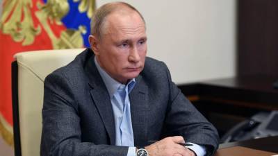 Владимир Путин - Путин отметил готовность РФ к работе с другими странами в борьбе с COVID-19 - iz.ru - Россия