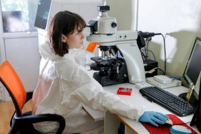 Ставропольские медики разработали препарат, подавляющий активность коронавируса - etokavkaz.ru - Пятигорск