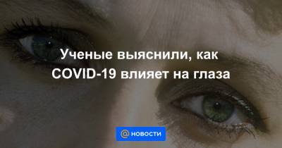 Ученые выяснили, как COVID-19 влияет на глаза - news.mail.ru - Англия