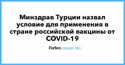 Минздрав Турции назвал условие для применения в стране российской вакцины от COVID-19 - forbes.ru - Россия - Турция