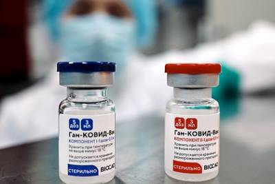 Денис Мантуров - Российская вакцина от коронавируса заинтересовала Египет - lenta.ru - Россия - Египет
