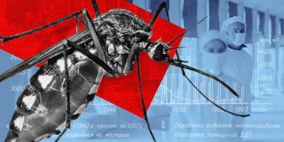 40 лет войны с комарами: как в СССР победили малярию - ruposters.ru - Ссср - Сочи