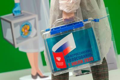 Элла Памфилова - Назван срок завершения приема заявок на голосование 1 июля по месту пребывания - lenta.ru