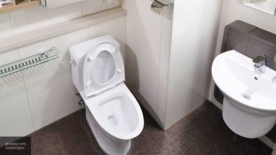 Ученые рассказали о правилах пользования общественным туалетом в период эпидемии COVID-19 - nation-news.ru