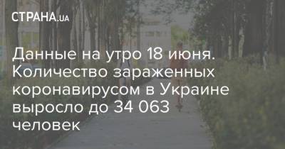 Данные на утро 18 июня. Количество зараженных коронавирусом в Украине выросло до 34 063 человек - strana.ua - Украина