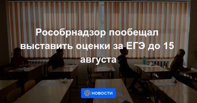 Анзор Музаев - Рособрнадзор пообещал выставить оценки за ЕГЭ до 15 августа - news.mail.ru