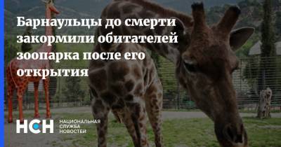 Сергей Писарев - Барнаульцы до смерти закормили обитателей зоопарка после его открытия - nsn.fm