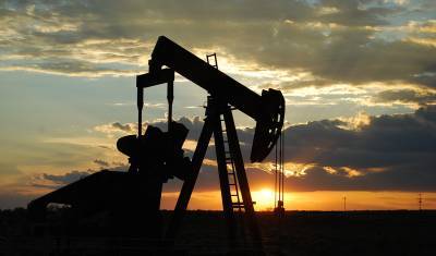 Эксперты: в следующем году спрос на нефть существенно вырастет - nashgorod.ru