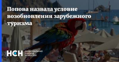 Анна Попова - Попова назвала условие возобновления зарубежного туризма - nsn.fm - Россия