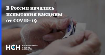 В России начались испытания вакцины от COVID-19 - nsn.fm - Россия