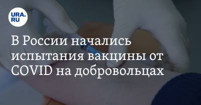 В России начались испытания вакцины от COVID на добровольцах - ura.news - Россия
