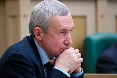 Андрей Климов - В Совфеде заявили о давлении извне на голосование по Конституции - lenta.ru - Россия
