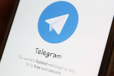 Григорий Березкин - Названы причины разблокировки Telegram - lenta.ru - Россия