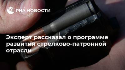 Эксперт рассказал о программе развития стрелково-патронной отрасли - ria.ru - Россия - Москва