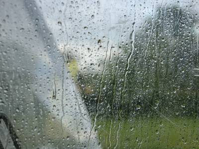 В Запорожье ожидается сильный ветер и дождь с грозой - inform.zp.ua - Запорожье