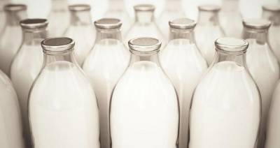 Россия и Беларусь самообеспечены молоком и могут поставлять в Китай — Штефан ДЮРР - produkt.by - Россия - Белоруссия - Китай
