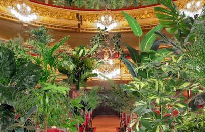 Джакомо Пуччини - Оперный театр Испании проведет концерт для растений - ont.by - Испания