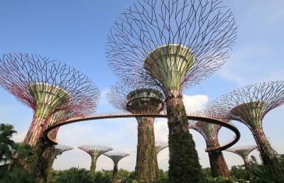 В Сингапуре открываются магазины и парки - ont.by - Сингапур - Республика Сингапур
