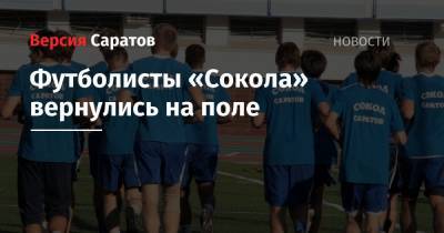 Дмитрий Борисов - Футболисты «Сокола» вернулись на поле - nversia.ru