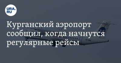 Курганский аэропорт сообщил, когда начнутся регулярные рейсы - ura.news - Москва - Курган