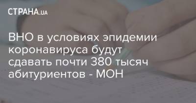Любомира Мандзий - ВНО в условиях эпидемии коронавируса будут сдавать почти 380 тысяч абитуриентов - МОН - strana.ua