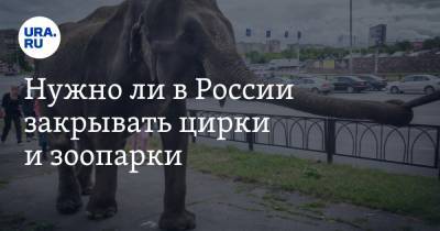 Илья Московец - Нужно ли в России закрывать цирки и зоопарки - ura.news - Россия