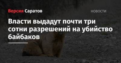 Власти выдадут почти три сотни разрешений на убийство байбаков - nversia.ru - Саратовская обл.