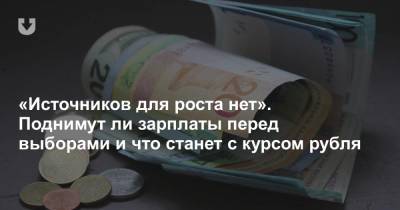 «Источников для роста нет». Поднимут ли зарплаты перед выборами и что будет с курсом рубля - news.tut.by