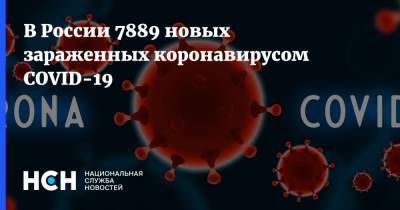 В России 7889 новых зараженных коронавирусом COVID-19 - nsn.fm - Россия