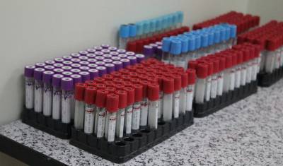 В Тюменской области тестируют на коронавирус членов избиркомов - nashgorod.ru - Тюменская обл.